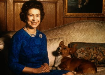 Queen Elizabeth II smiles radiantly during a picture-taking session in the salon at Sandringham House. Her pet dog looks up at her. These photos were taken in connection with the royal Family's planned tour of Australia and New Zealand.