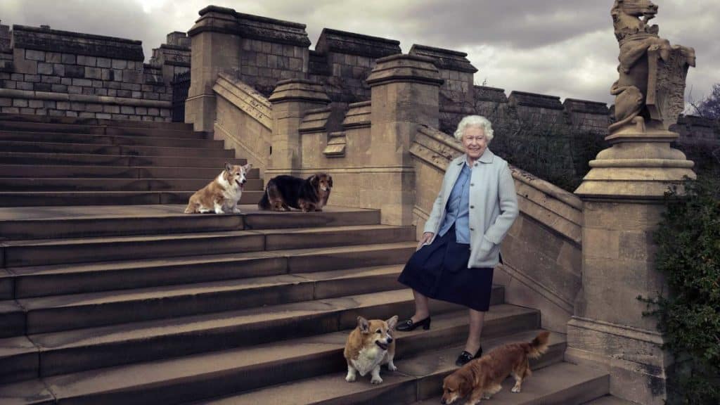 Queen Elizabeth left behind 4 dogs