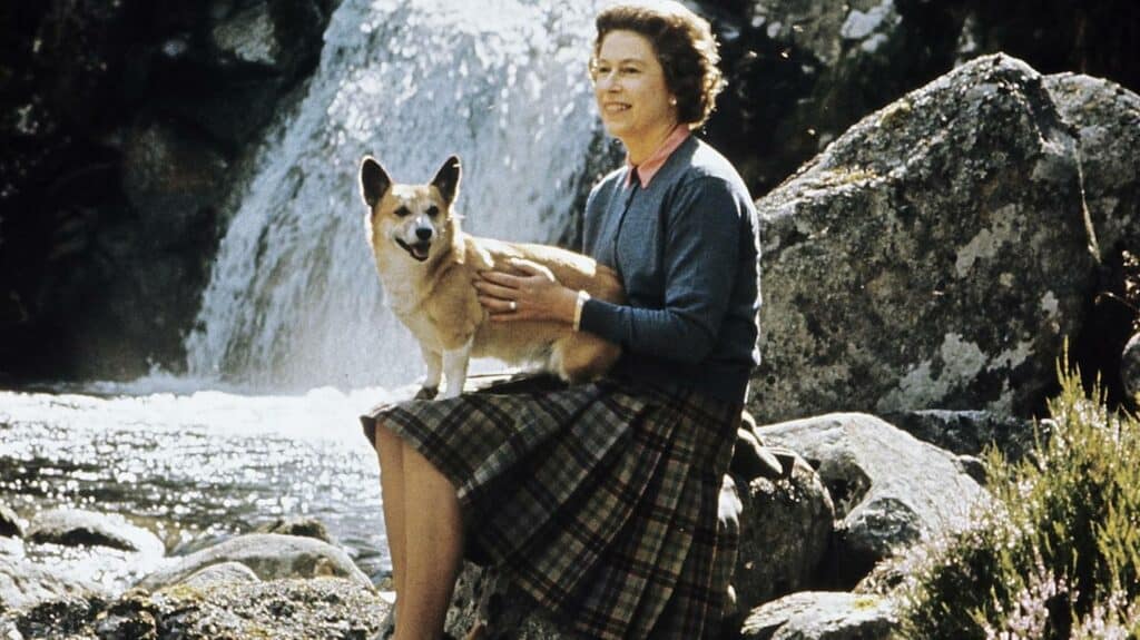 Not everyone loved the Queen's Corgis as much as she did