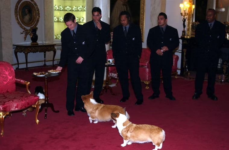 The Corgi's have their own royal butlers
