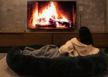 Try The Plufl Human-Size Dog Bed And Get The Best Nap Of Your Life