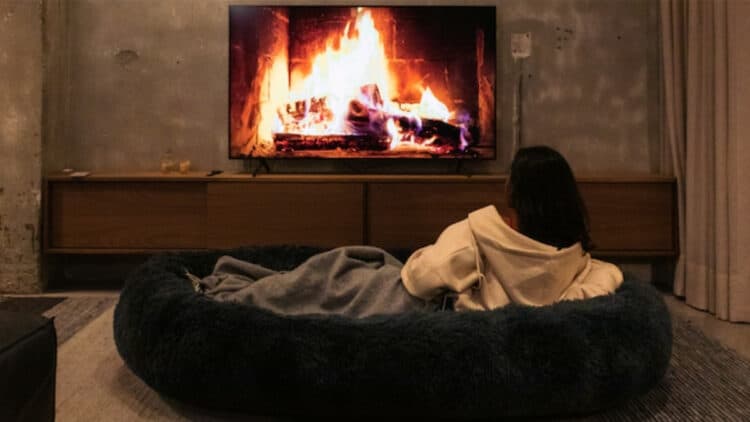 Try The Plufl Human-Size Dog Bed And Get The Best Nap Of Your Life