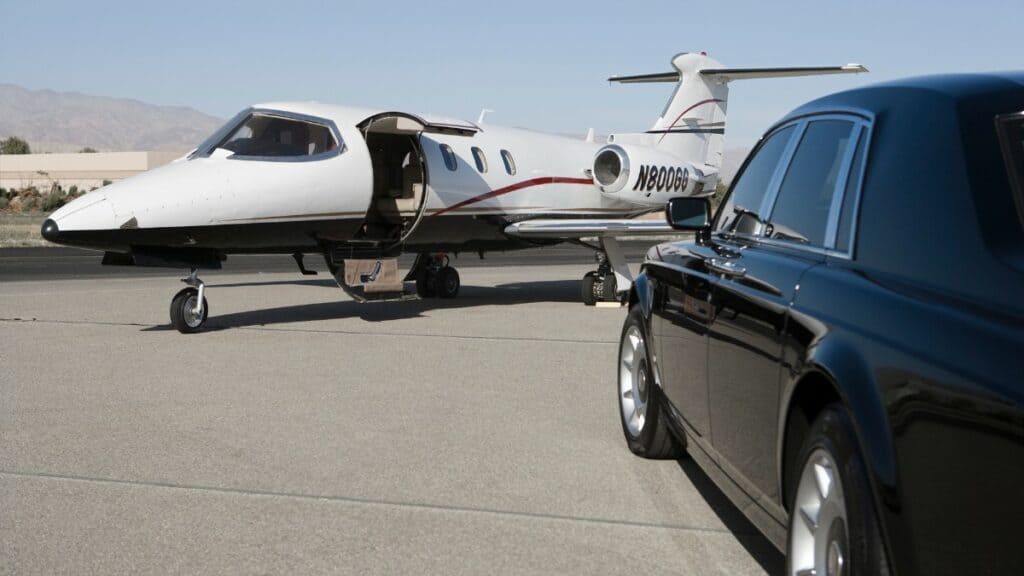 A private jet and limousine for Mrs. Wang and her new puppy