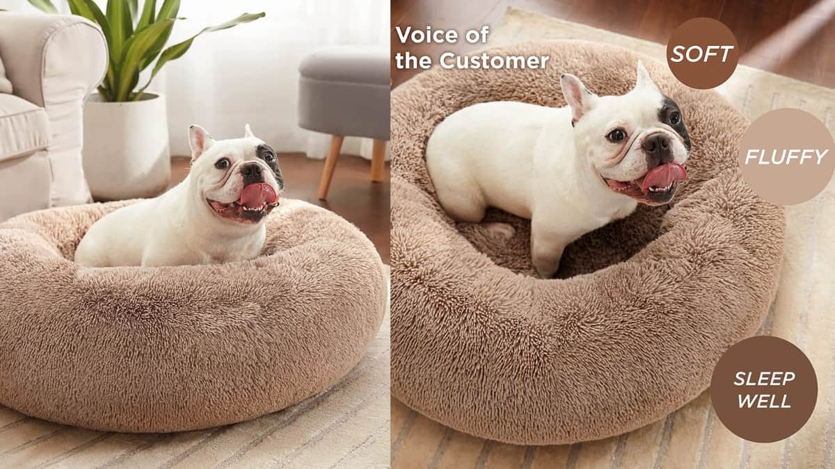 Bulldog sitting in round furry calming dog bed for medium sized dogs