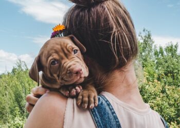 woman hugging a pit bull puppy she just brought home and now has to give it a name