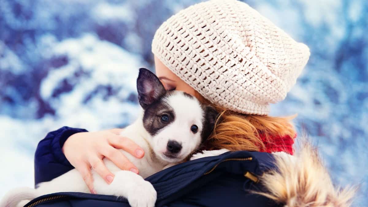woman hugging her puppy during snow and cold weather