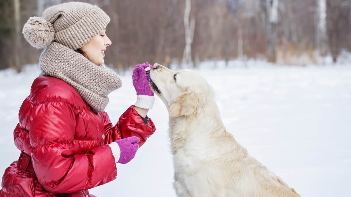 woman in red parka treating her dog in cold weather and snow
